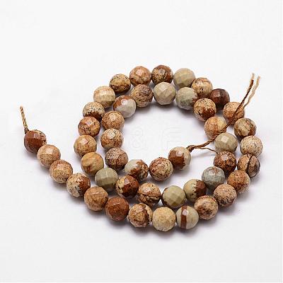 Natural Picture Jasper Beads Strands G-D840-47-8mm-1