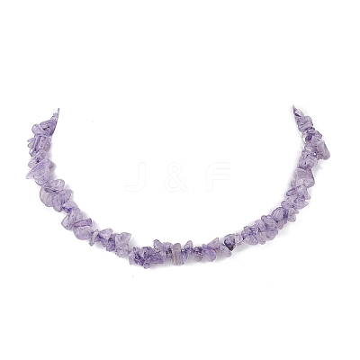 Natural Amethyst Chips Beaded Necklaces NJEW-JN04275-02-1