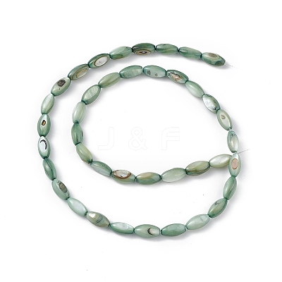 Natural Freshwater Shell Dyed Beads Strands X-SHEL-M018-13-11-1
