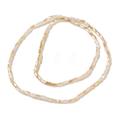 Electroplate Glass Beads Strands GLAA-P068-HR03-1