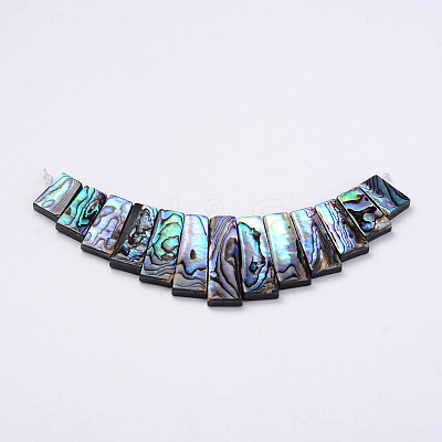 Rectangle Natural Abalone Shell/Paua ShellGraduated Beads Strands SSHEL-P002-03-1