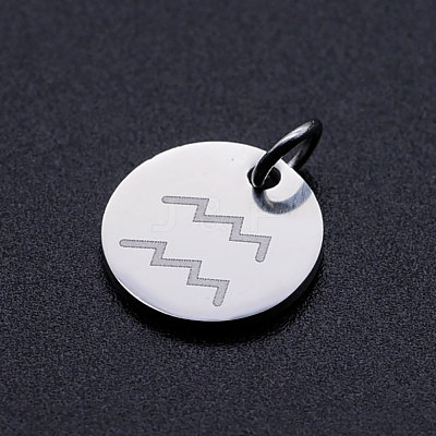 Non-Tarnish 201 Stainless Steel Charms STAS-T049-T643-11P-1
