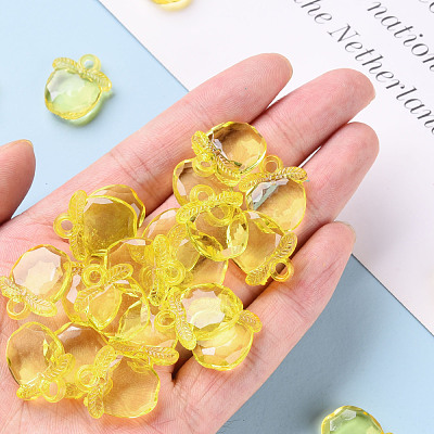 Transparent Acrylic Pendants TACR-S154-28B-85-1