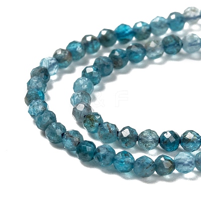 Natural Apatite Beads Strands LS-G-K185-02-1