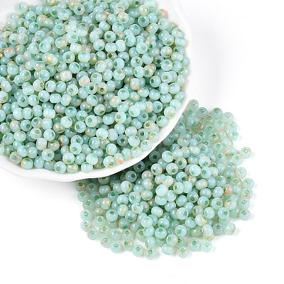 6/0 Glass Seed Beads SEED-N008-07D-1