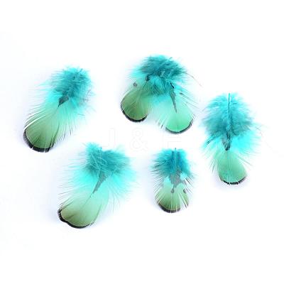 Chicken Feather Costume Accessories FIND-Q047-03-1