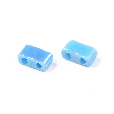 2-Hole Opaque Glass Seed Beads LS-SEED-N004-002-B01-1