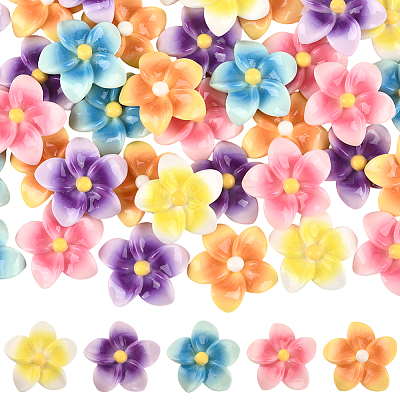50Pcs 5 Colors Opaque Resin Cabochons FIND-SC0020-81-1
