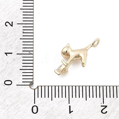 Brass Micro Pave Cubic Zirconia Pendants LS-KK-M306-06G-07-1
