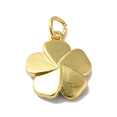 Rack Plating Brass Enamel Charms KK-O142-56G-04-1