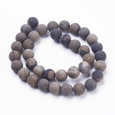 Natural Dendritic Jasper Beads Strands G-F520-47-8mm-1