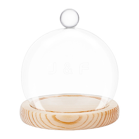 Glass Dome Cover ODIS-WH0002-25-1