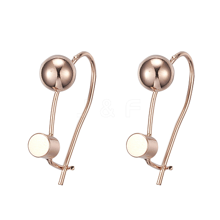 Brass Hoop Earrings EJEW-L198-02RG-1