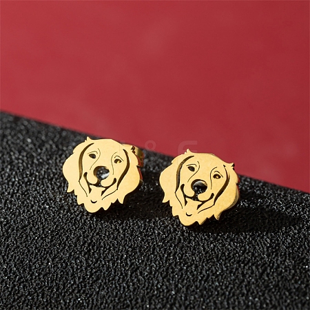Stainless Steel Stud Earrings PW-WG88127-09-1