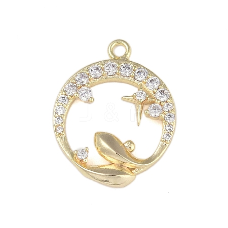 Brass Micro Pave Clear Cubic Zirconia Pendants FIND-B077-02G-01-1