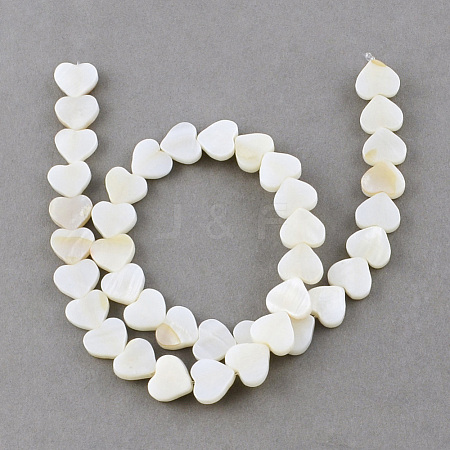 Natural Sea Shell Beads Strands X-SSHEL-Q296-40-1