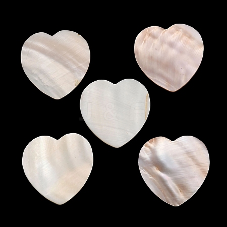 Natural Freshwater Shell Cabochons SHEL-C010-10B-1