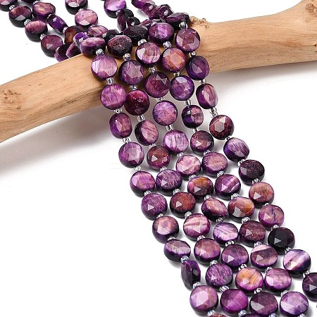 Natural Tiger Eye Beads Strands G-F812-C09-01D-1