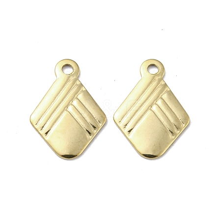 304 Stainless Steel Charms STAS-L022-036G-1