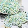 Macaron Color Opaque Frosted Glass Seed Beads SEED-K009-12B-03-1