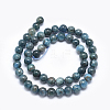 Natural Apatite Beads G-E481-05-6mm-2