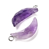 Natural Amethyst Pendants G-L614-D05-P05-2