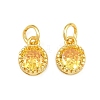 Brass Pave Cubic Zirconia Charms CU-CBA3D67-02G-07-1