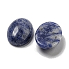 Natural Blue Spot Jasper Cabochons G-C115-01A-36-2