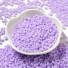 Glass Frosted Seed Beads SEED-K009-05B-04-2