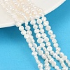 Natural Cultured Freshwater Pearl Beads Strands PEAR-P064-19D-09A-1