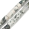 Natural Tree Agate Beads Strands G-U018-B03-01-2