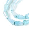 Anti-Tarnish Electroplate Glass Beads Strands GLAA-T025-27B-3