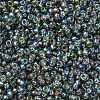 MIYUKI Round Rocailles Beads SEED-G007-RR1021-3