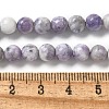 Natural Purple Turquoise Beads Strands G-L595-C04-01-5