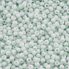 8/0 Opaque Glass Seed Beads X1-SEED-S048-N-007-3