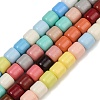 Baking Paint Glass Beads Strands LAMP-S070-06E-1