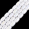 Electroplate Opaque Glass Beads Strands EGLA-Q132-03B-C01-1