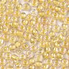 6/0 Glass Seed Beads X1-SEED-A015-4mm-2202-2