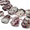 Natural Plum Blossom Tourmaline Beads Strands G-H078-A01-02-3