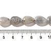 Natural Labradorite Beads Strands G-I377-A21-5