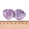 Natural Lepidolite Healing Stones G-G020-01Y-3