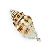 Natural Scallop Shell & Round Shell Pearl Pendants PALLOY-TA00197-01-5