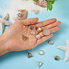 12Pcs 6 Styles Natural Shell Pendant Sets SHEL-CD0001-03-7