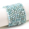 Natural Larimar Beads Strands G-K376-A03-4mm-2