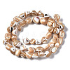 Natural Trochid Shell/Trochus Shell Beads Strands SSHEL-S266-015B-2
