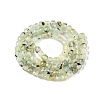 Natural Prehnite Beads Strands G-N342-124-2