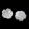 Dyed & Heated Gradient Color Glass Bead Cap GLAA-D307-01L-2
