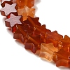 Natural Carnelian Beads Strands G-G085-B35-02-3