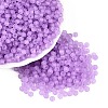 FGB Frosted Transparent Glass Seed Beads SEED-N013-02A-07-1