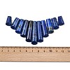 Natural Lapis Lazuli Beads Strands G-P298-I01-3